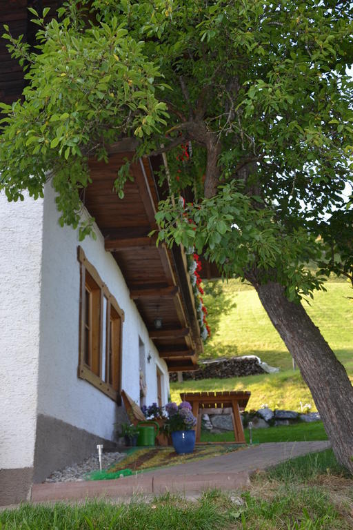 Bauernhof Bachrain Villa Taxenbach Ngoại thất bức ảnh